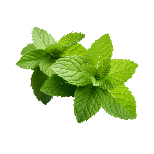 Patchouli