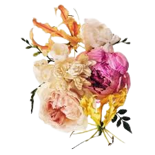 Floral Notes